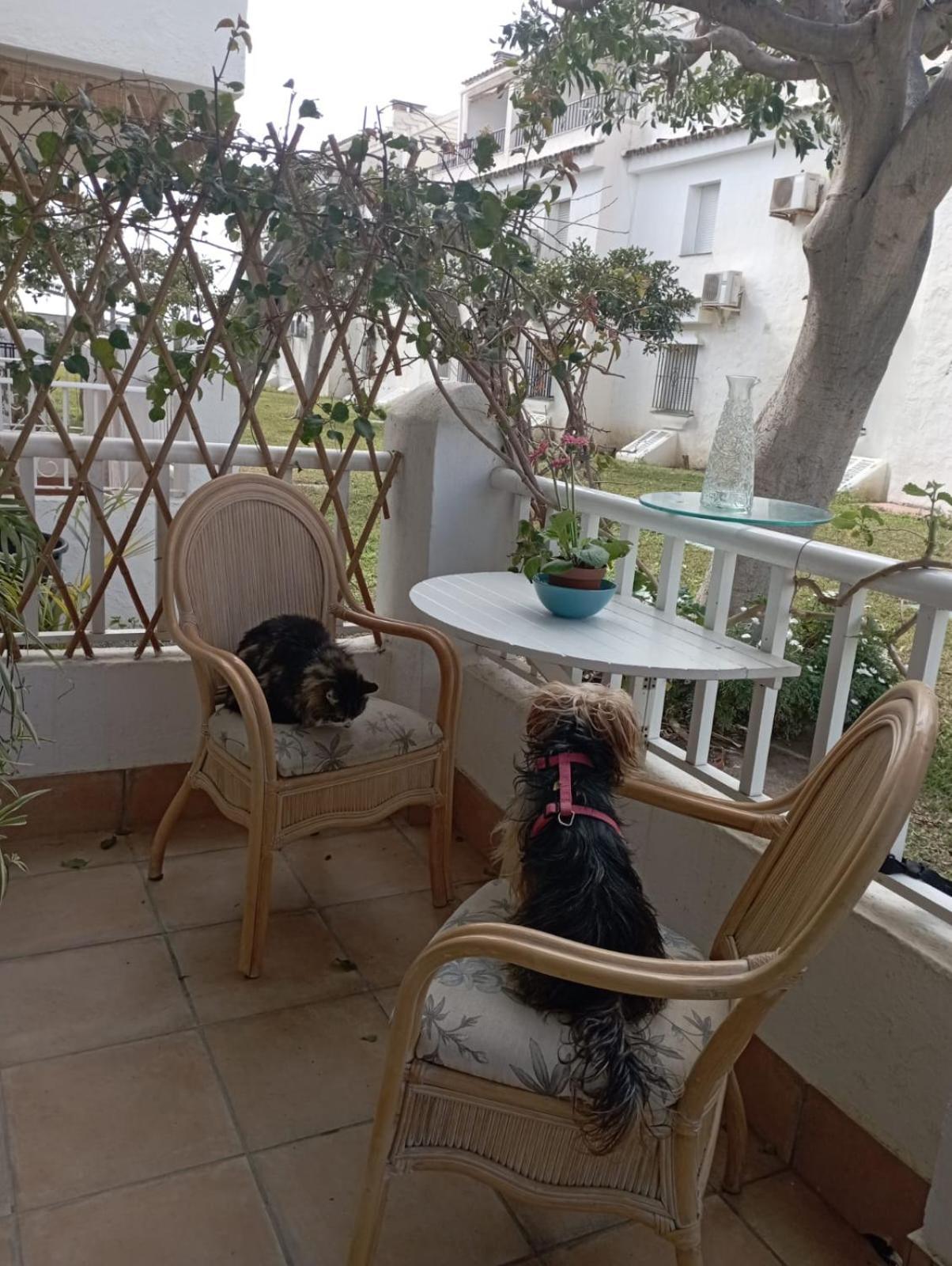 Apartamento Laguna Beach Torrox Costa Exteriér fotografie